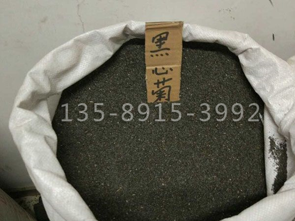 黑心菊