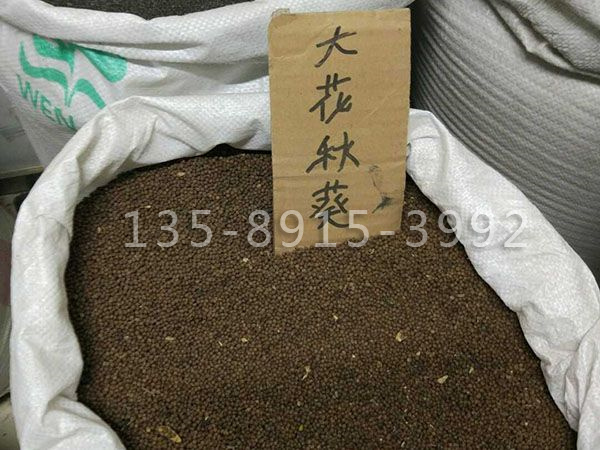微信图片_201812221748524.jpg